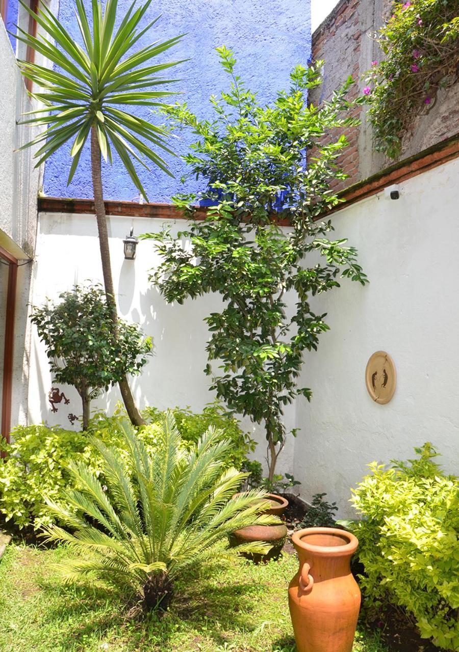 Casa Coyoacan Ciudad de México Exteriér fotografie